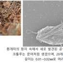 (동물 행동) 16. 서로 돕는 사회 이미지