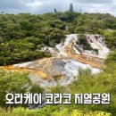 하나머드한증막 | 뉴질랜드 가족여행 북섬 투어 간헐천 화산 지열 공원 타우포 오라케이 코라코