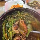 촌가네식당 | 당진먹자골목맛집 흑염소탕 몸보신하기 좋은 촌가네