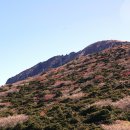 돈내코로 이미지