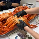 효자 | 홍게 택배 맛집 효자농수산 후기 수율 좋았던 홍게 3KG 실속형 주문