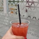 인셀덤 솔 - 부천시 원미구 | 인셀덤 솔
