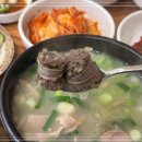돼지국밥 - 동대문구 | 돼지국밥