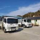 상일톱밥 이미지