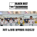 영종하늘태권도장 이미지