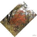 100대 명산! 17. 포천 백운산 | 가을산행길이 아름다운 광덕고개 코스!