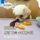 멍멍까까 이미지