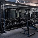 포커스 피트니스 이미지