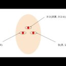 태을금화종지 번역 및 이해 부록8(태을금화종지에서의 일월(日月, 해와 달)) 이미지