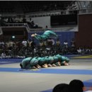 용인대통일태권도 이미지