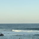 옹심 | 🥔 강원도 삼척 찐맛집 ‘옹심’ 후기 (+카페오분동 두쫀쿠)