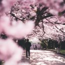 개나리공인중개사사무소 이미지