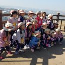 배곧새솔어린이집 이미지