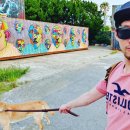 고구마 펙토리스토리 이미지