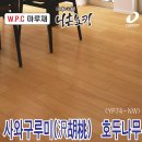 구루미 이미지