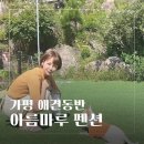 가평아름마루독채애견펜션 이미지