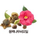 아로즈 이미지
