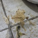 익산식당 이미지