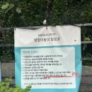 숲멍 | 강화도 애견동반 가볼만한 곳 추천! 멍숲 (멍3 이용후기)