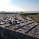 이식태양광발전소 이미지