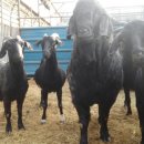 제이농장 이미지