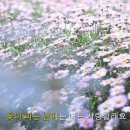 꽃이 피는 날