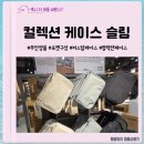 문구덕후 추천템 컬렉션케이스 슬림 구입하고 온 무인양품 롯데백화점 광주점