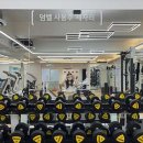 알파핏 홍천 이미지