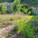 대지로51번길 이미지