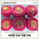 단비유통 | 내 입맛 사과 MBTI 찾기! 마이핏 GAP 인증 사과 취향 고르기 세트 솔직후기