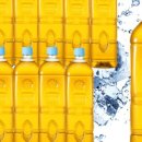 하늘보리 이미지