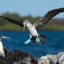 더푸른유치원 이미지