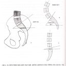 요추간판으로 인한 통증과 기본적 이학적 검사 이미지