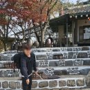 펫 파라다이스 동물병원 이미지