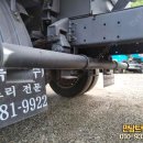 해청 이미지