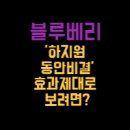 하지원 동안비결, 여름제철과일 블루베리 효능을 더 톡톡히 높이는 방법 TOP5