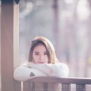 김서하 카카오 검색결과