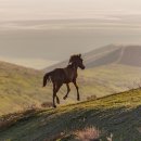 [미사캠퍼스] 듣는 사람을 위한 클래식 가이드 | 웨딩메이크업 전문가 추천 인기순위와 선택팁