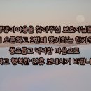 댕댕아야옹 이미지