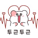 골든햄스터분양 햄츠비 이미지