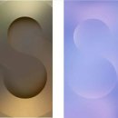 맥스그룹(MAX Group) 이미지