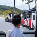영주선비미디어 | 경북 아이와 함께 가볼만한곳 영주 선비세상 내돈내산 솔직후기