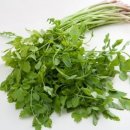 태종한의원 이미지