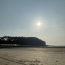 춘장대 | 충남 서천 아이들과 가기 좋은 바다 🌊춘장대해수욕장 가족여행 후기