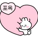 푸슐랭 이미지