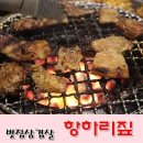 항하리짚 이미지