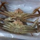 포항회타운 이미지