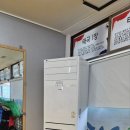 코리아 태권도 3관 이미지