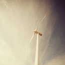 삼영 노동조합 | 대관령삼양목장,계방산오토캠핑장...