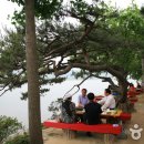 연춘 티스토리